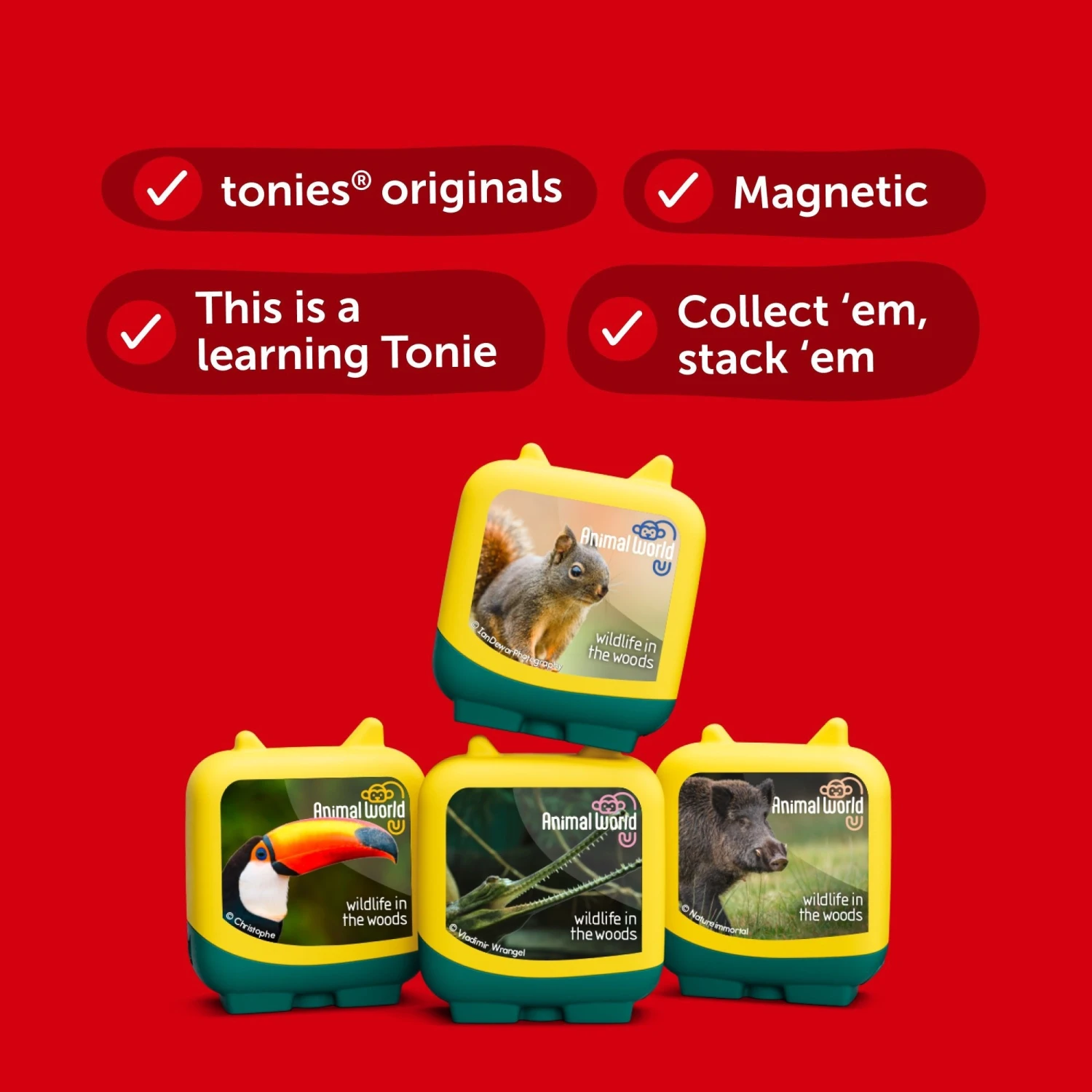 TONIES Pocket Tonie Animal World: Wildlife In The Woods Audio Clever Pocket Tonie Set(Pocket Tonie Animal World Wildlife In The Woods Audio Clever Pocket Tonie Set) 5 TONIES Pocket Tonie Animal World: Wildlife In The Woods Audio Clever Pocket Tonie Set(Pocket Tonie Animal World Wildlife In The Woods Audio Clever Pocket Tonie Set) - Image 3
